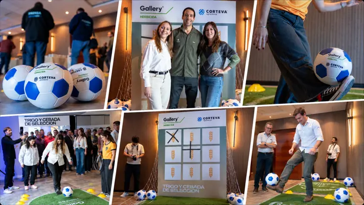 Juego de penales y tateti Gallery