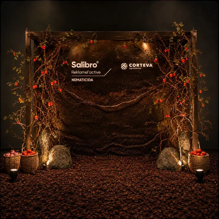 Portal Salibro: expectativa (render)