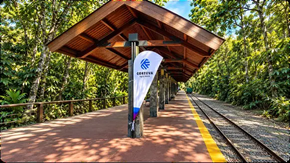 Estación del tren en la selva